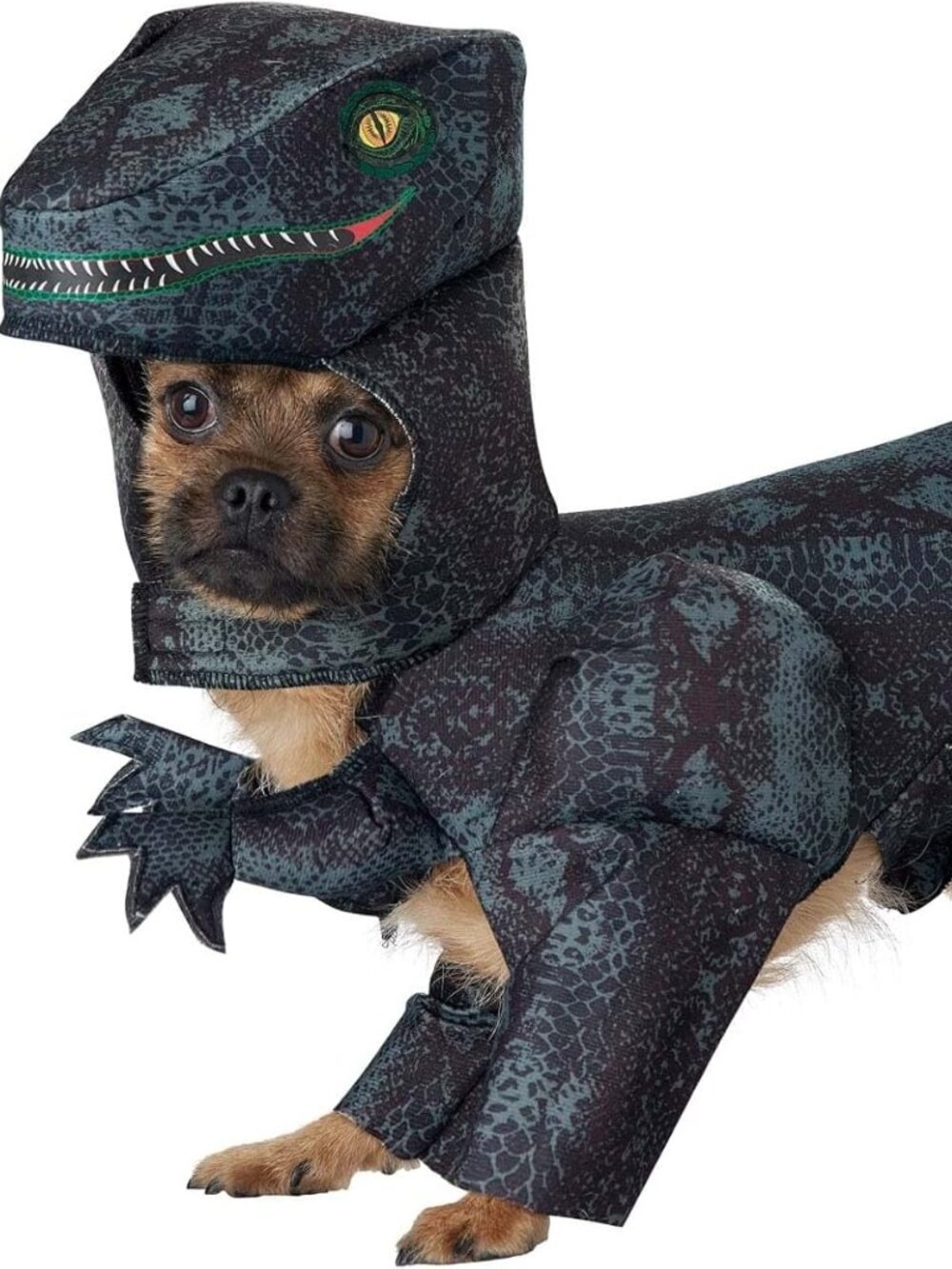 California Costumes Pupasaurus Rex Dinosaur Dog Costume - Size Large - Halloween